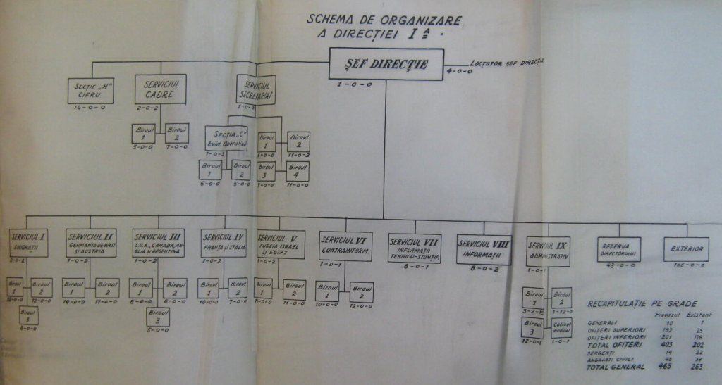 Schema Organizare Directia I